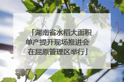 湖南省水稻大面积单产提升现场推进会在屈原管理区举行
