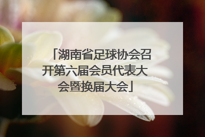 湖南省足球协会召开第六届会员代表大会暨换届大会
