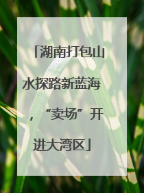 湖南打包山水探路新蓝海，“卖场”开进大湾区