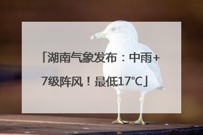 湖南气象发布：中雨+7级阵风！最低17℃
