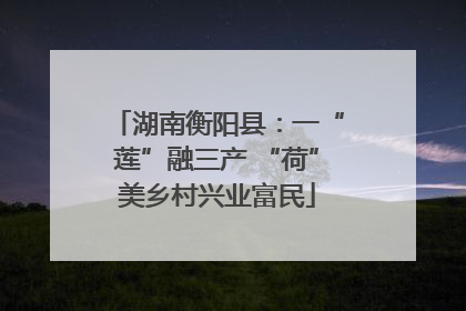 湖南衡阳县：一“莲”融三产 “荷”美乡村兴业富民