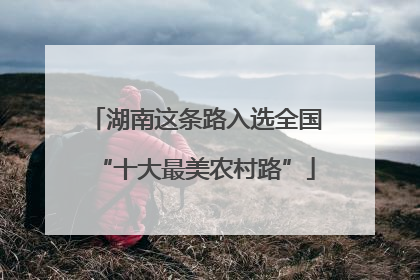 湖南这条路入选全国“十大最美农村路”