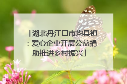 湖北丹江口市均县镇：爱心企业开展公益捐助推进乡村振兴