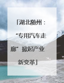 湖北随州：“专用汽车走廊”掀起产业新变革
