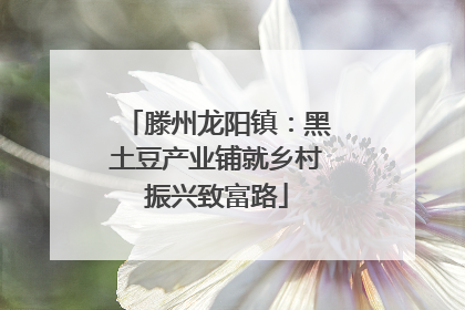 滕州龙阳镇：黑土豆产业铺就乡村振兴致富路