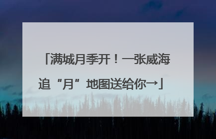 满城月季开！一张威海追“月”地图送给你→