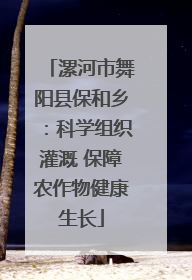 漯河市舞阳县保和乡：科学组织灌溉 保障农作物健康生长