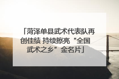 菏泽单县武术代表队再创佳绩 持续擦亮“全国武术之乡”金名片