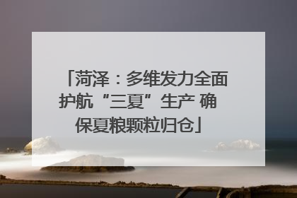 菏泽：多维发力全面护航“三夏”生产 确保夏粮颗粒归仓