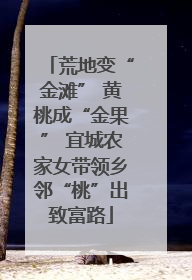 荒地变“金滩” 黄桃成“金果” 宜城农家女带领乡邻“桃”出致富路