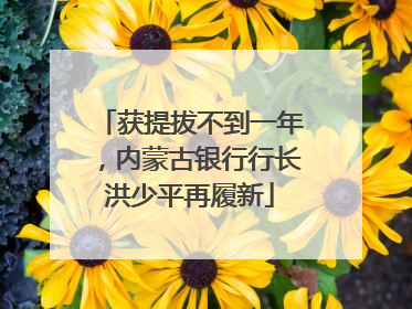 获提拔不到一年，内蒙古银行行长洪少平再履新