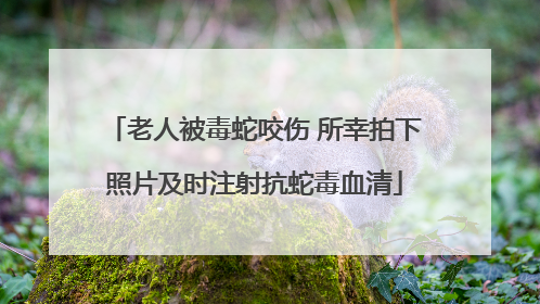 老人被毒蛇咬伤 所幸拍下照片及时注射抗蛇毒血清
