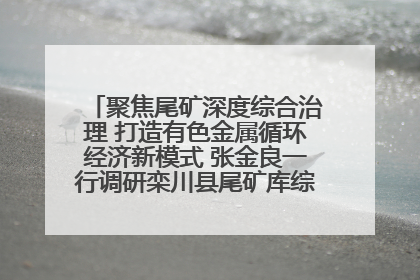 聚焦尾矿深度综合治理 打造有色金属循环经济新模式 张金良一行调研栾川县尾矿库综合治理工作