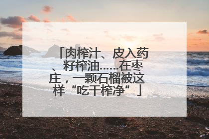 肉榨汁、皮入药、籽榨油……在枣庄，一颗石榴被这样“吃干榨净”
