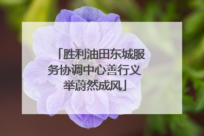 胜利油田东城服务协调中心善行义举蔚然成风