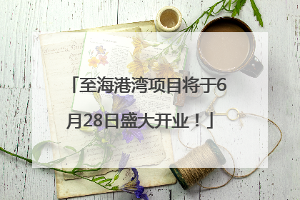 至海港湾项目将于6月28日盛大开业！