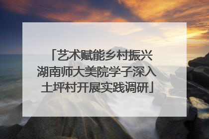 艺术赋能乡村振兴 湖南师大美院学子深入土坪村开展实践调研