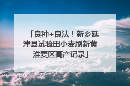 良种+良法！新乡延津县试验田小麦刷新黄淮麦区高产记录