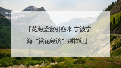 花海盛宴引客来 宁波宁海“赏花经济”别样红