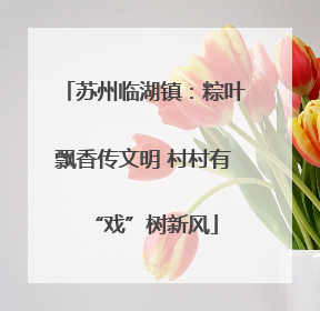 苏州临湖镇：粽叶飘香传文明 村村有“戏”树新风