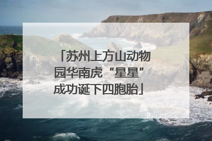 苏州上方山动物园华南虎“星星”成功诞下四胞胎