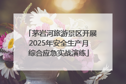 茅岩河旅游景区开展2025年安全生产月综合应急实战演练