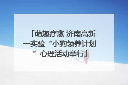 萌趣疗愈 济南高新一实验“小狗领养计划”心理活动举行