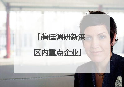蔺佳调研新港区内重点企业