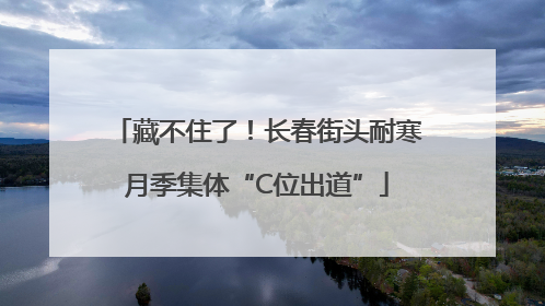 藏不住了！长春街头耐寒月季集体“C位出道”