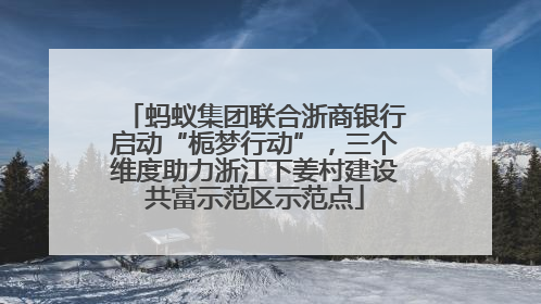 蚂蚁集团联合浙商银行启动“栀梦行动”，三个维度助力浙江下姜村建设共富示范区示范点