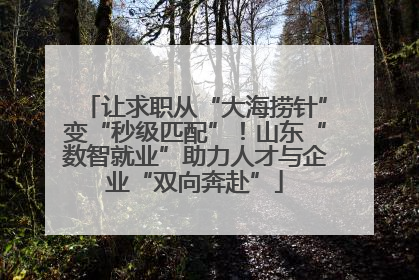 让求职从“大海捞针”变“秒级匹配”！山东“数智就业”助力人才与企业“双向奔赴”