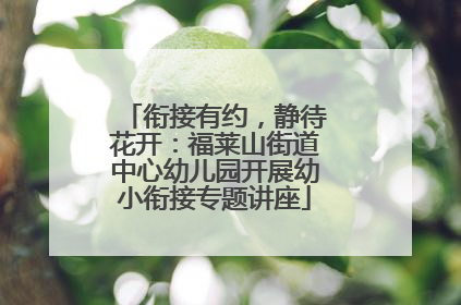 衔接有约，静待花开：福莱山街道中心幼儿园开展幼小衔接专题讲座