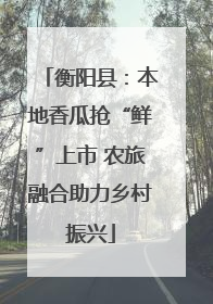 衡阳县：本地香瓜抢“鲜”上市 农旅融合助力乡村振兴