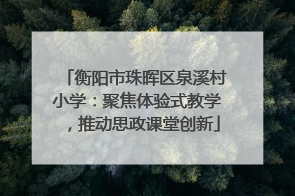衡阳市珠晖区泉溪村小学：聚焦体验式教学，推动思政课堂创新