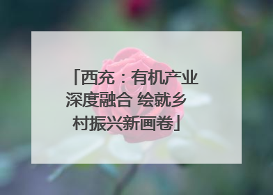西充：有机产业深度融合 绘就乡村振兴新画卷