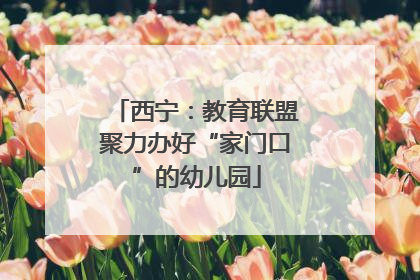 西宁：教育联盟聚力办好“家门口”的幼儿园