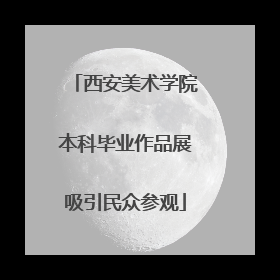 西安美术学院本科毕业作品展吸引民众参观