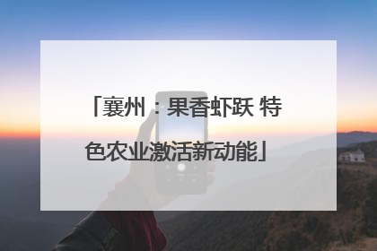襄州：果香虾跃 特色农业激活新动能