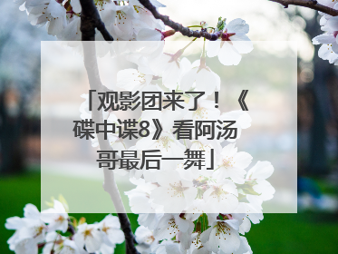 观影团来了！《碟中谍8》看阿汤哥最后一舞