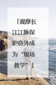 观摩长江江豚保护意外成为“现场教学”