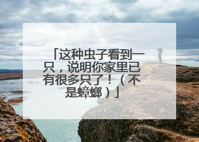 这种虫子看到一只，说明你家里已有很多只了！（不是蟑螂）