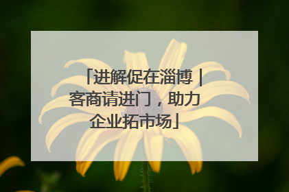 进解促在淄博｜客商请进门，助力企业拓市场