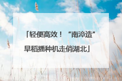 轻便高效！“南漳造”旱稻播种机走俏湖北