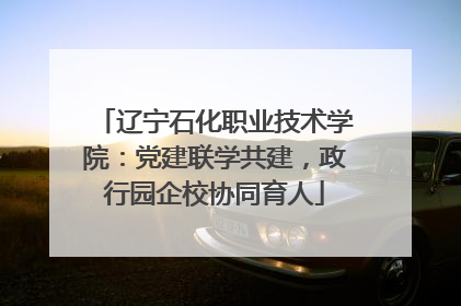 辽宁石化职业技术学院：党建联学共建，政行园企校协同育人