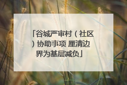 谷城严审村（社区）协助事项 厘清边界为基层减负