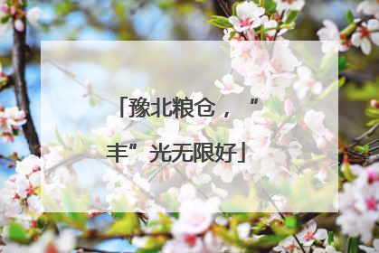 豫北粮仓，“丰”光无限好