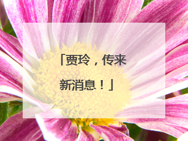 贾玲，传来新消息！