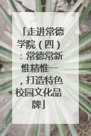 走进常德学院（四）：常德常新 惟精惟一，打造特色校园文化品牌