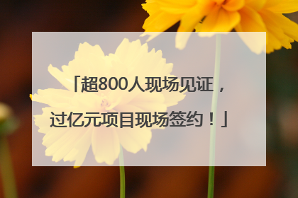 超800人现场见证，过亿元项目现场签约！