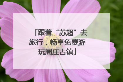 跟着“苏超”去旅行，畅享免费游玩周庄古镇